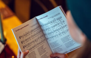 Mehr über den Artikel erfahren Ut wisi enim